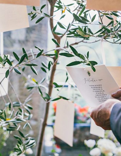 Tableau de Mariage tema ulivo