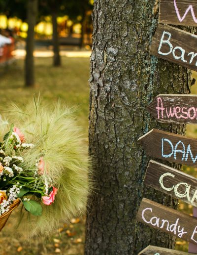 Matrimonio nella natura